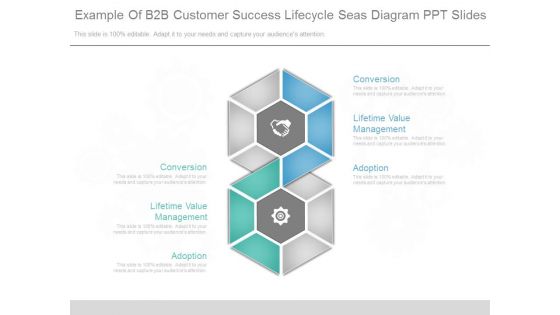 Example Of B2b Customer Success Lifecycle Seas Diagram Ppt Slides