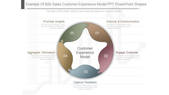 Example Of B2b Sales Customer Experience Model Ppt Powerpoint Shapes