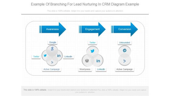 Example Of Branching For Lead Nurturing In Crm Diagram Example