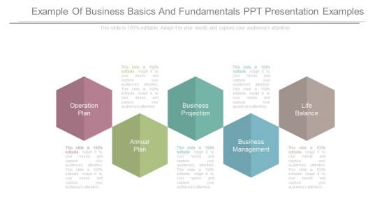 Example Of Business Basics And Fundamentals Ppt Presentation Examples