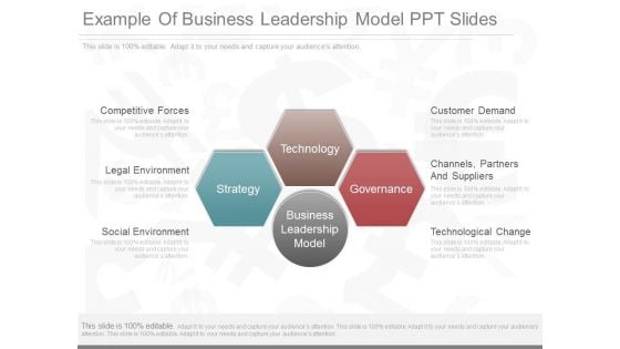 Example Of Business Leadership Model Ppt Slides