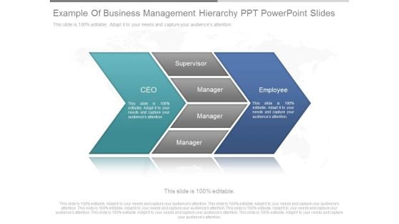 Example Of Business Management Hierarchy Ppt Powerpoint Slides