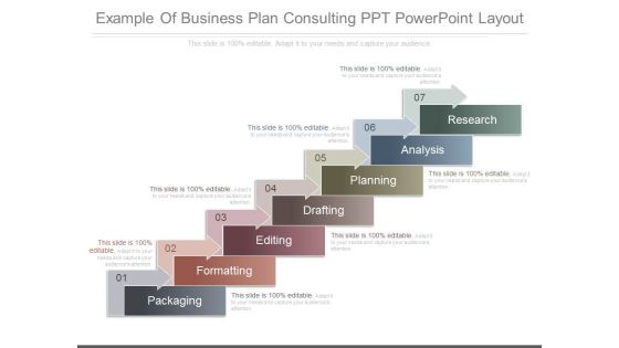Example Of Business Plan Consulting Ppt Powerpoint Layout