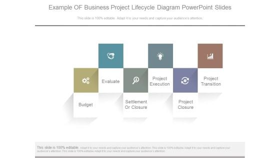 Example Of Business Project Lifecycle Diagram Powerpoint Slides