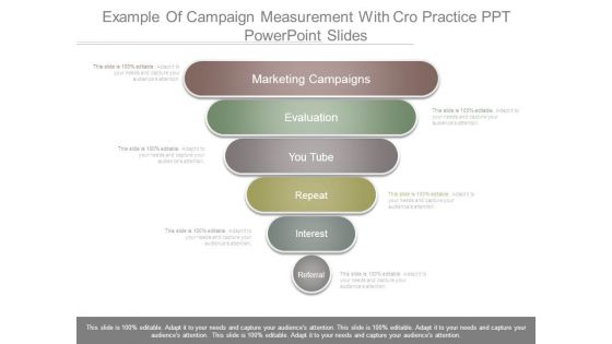 Example Of Campaign Measurement With Cro Practice Ppt Powerpoint Slides