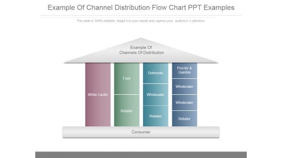 Example Of Channel Distribution Flow Chart Ppt Examples