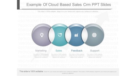 Example Of Cloud Based Sales Crm Ppt Slides