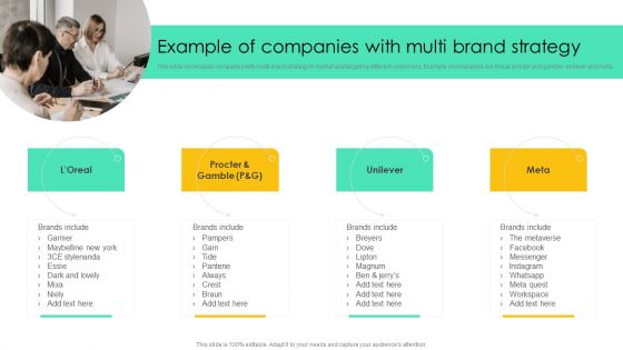 Example Of Companies With Multi Brand Strategy Infographics PDF Example Of Companies With Multi Brand Strategy Infographics PDF