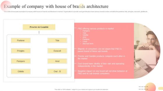 Example Of Company With House Of Brands Architecture Multi Branding Approaches For Different Guidelines PDF