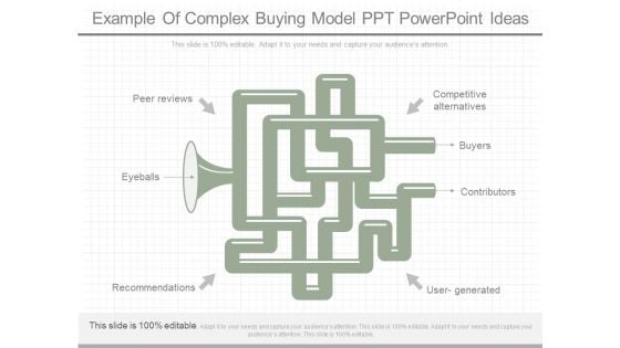 Example Of Complex Buying Model Ppt Powerpoint Ideas