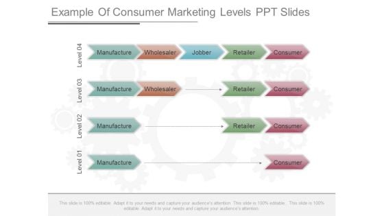 Example Of Consumer Marketing Levels Ppt Slides