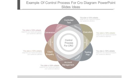 Example Of Control Process For Cro Diagram Powerpoint Slides Ideas