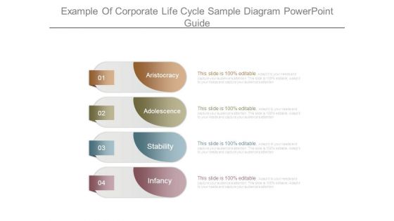 Example Of Corporate Life Cycle Sample Diagram Powerpoint Guide