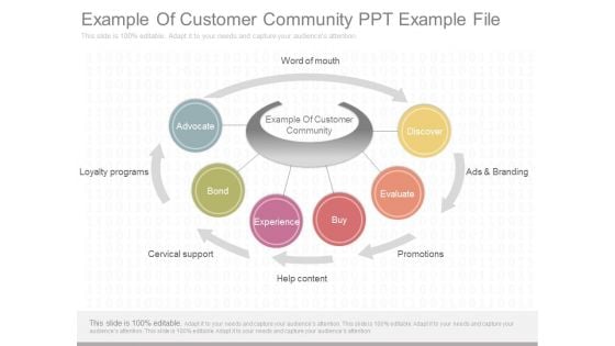 Example Of Customer Community Ppt Example File