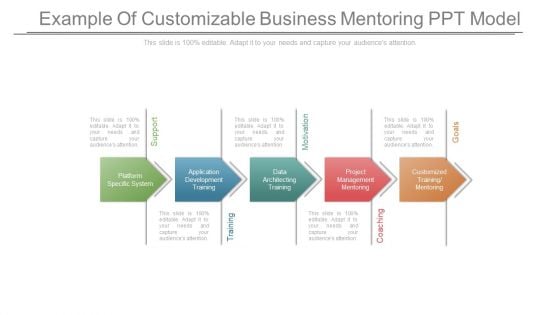 Example Of Customizable Business Mentoring Ppt Model