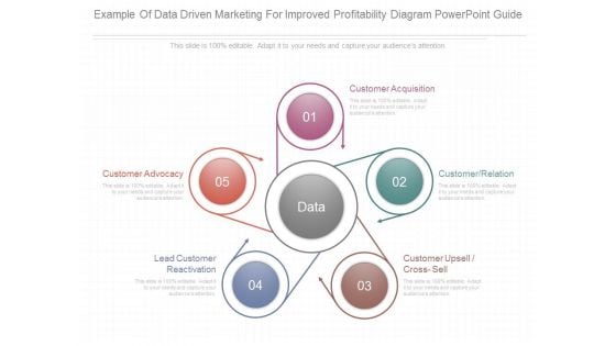 Example Of Data Driven Marketing For Improved Profitability Diagram Powerpoint Guide Example Of Data Driven Marketing For Improved Profitability Diagram Powerpoint Guide