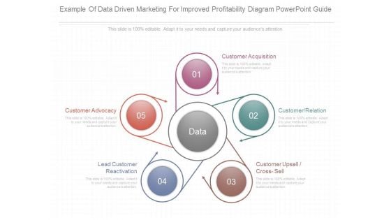 Example Of Data Driven Marketing For Improved Profitability Diagram Powerpoint Guide