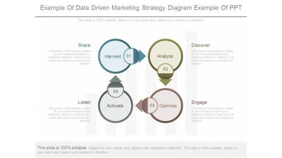 Example Of Data Driven Marketing Strategy Diagram Example Of Ppt