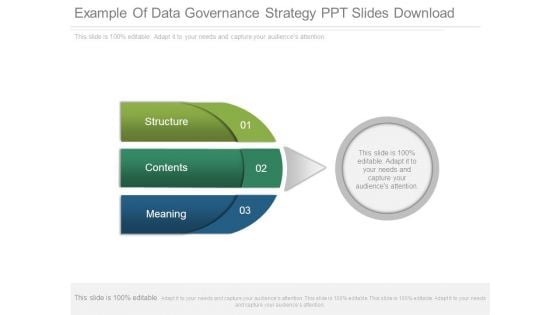 Example Of Data Governance Strategy Ppt Slides Download