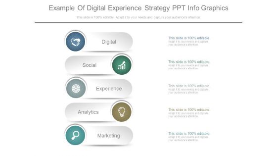 Example Of Digital Experience Strategy Ppt Info Graphics