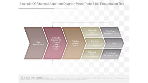 Example Of Financial Algorithm Diagram Powerpoint Slide Presentation Tips