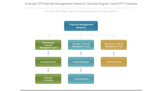 Example Of Financial Management Hierarchy Sample Diagram Good Ppt Example