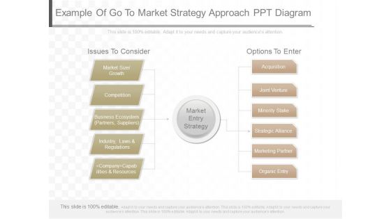 Example Of Go To Market Strategy Approach Ppt Diagram