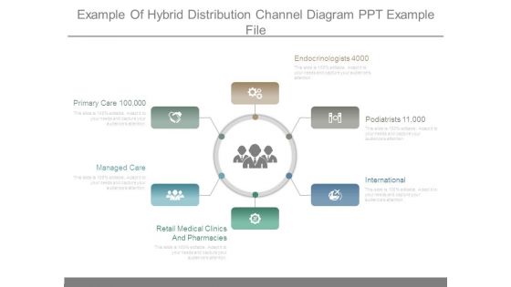 Example Of Hybrid Distribution Channel Diagram Ppt Example File