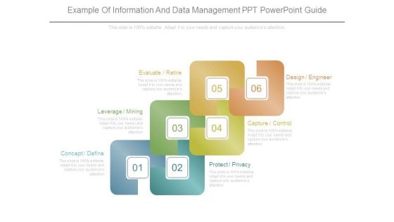 Example Of Information And Data Management Ppt Powerpoint Guide