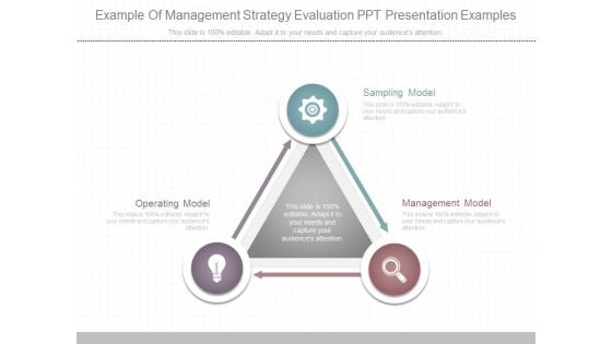 Example Of Management Strategy Evaluation Ppt Presentation Examples