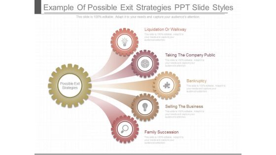 Example Of Possible Exit Strategies Ppt Slide Styles