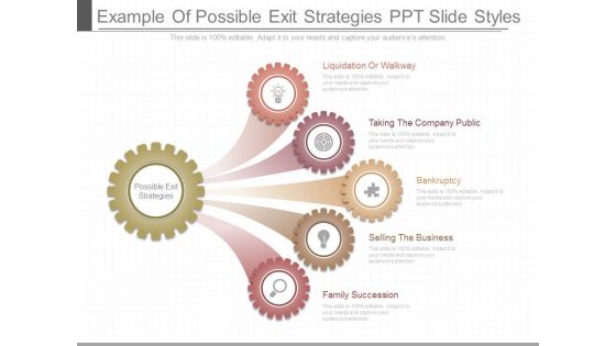 Example Of Possible Exit Strategies Ppt Slide Styles Example Of Possible Exit Strategies Ppt Slide Styles