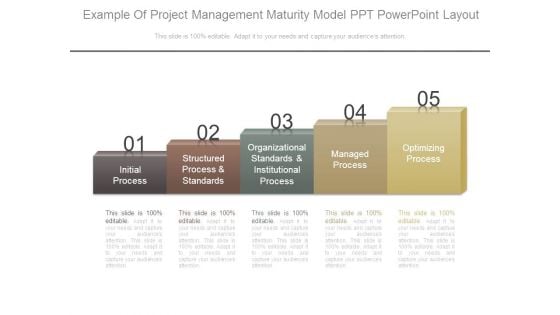 Example Of Project Management Maturity Model Ppt Powerpoint Layout