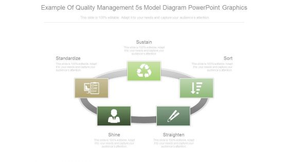 Example Of Quality Management 5s Model Diagram Powerpoint Graphics