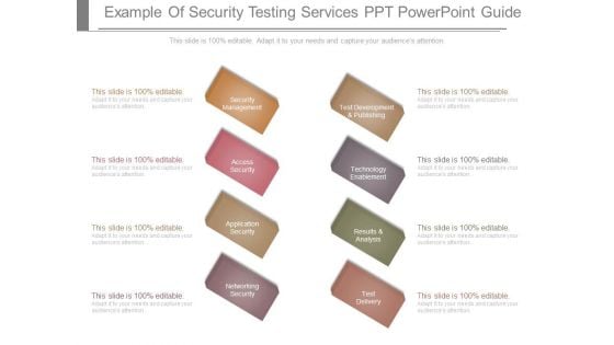 Example Of Security Testing Services Ppt Powerpoint Guide