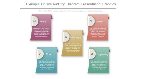 Example Of Site Auditing Diagram Presentation Graphics