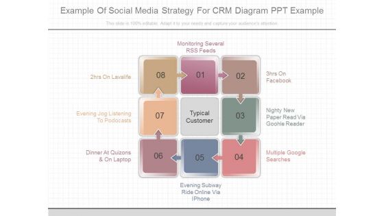 Example Of Social Media Strategy For Crm Diagram Ppt Example