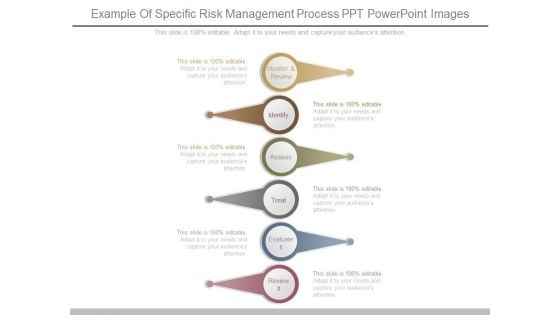 Example Of Specific Risk Management Process Ppt Powerpoint Images