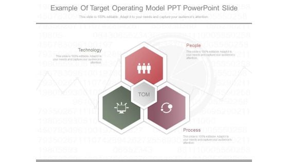 Example Of Target Operating Model Ppt Powerpoint Slide