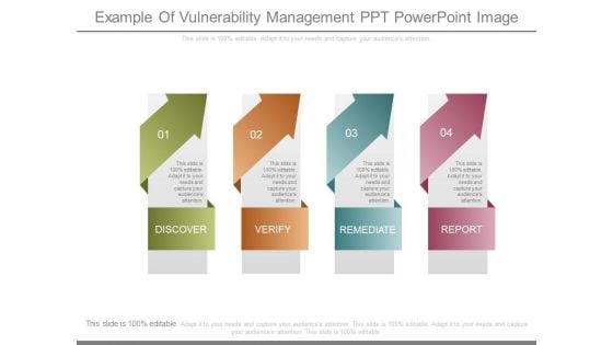 Example Of Vulnerability Management Ppt Powerpoint Image