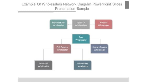 Example Of Wholesalers Network Diagram Powerpoint Slides Presentation Sample