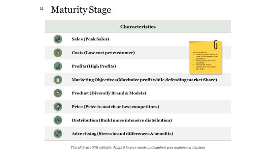 Example Presentation About New Product Ppt PowerPoint Presentation Complete Deck With Slides Slide20