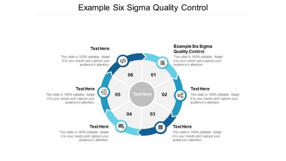Example Six Sigma Quality Control Ppt PowerPoint Presentation Infographics Format Cpb