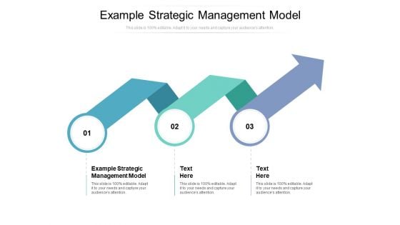 Example Strategic Management Model Ppt PowerPoint Presentation Styles Cpb