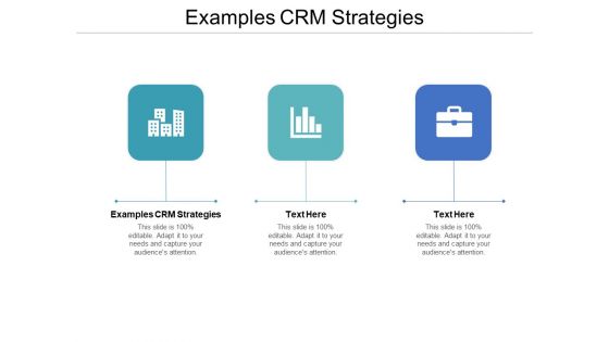 Examples CRM Strategies Ppt PowerPoint Presentation Icon Objects