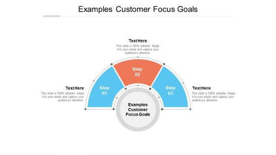 Examples Customer Focus Goals Ppt PowerPoint Presentation Show Tips Cpb