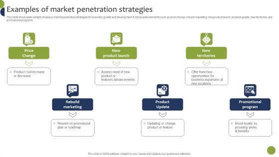 Examples Of Market Penetration Strategies Mockup PDF