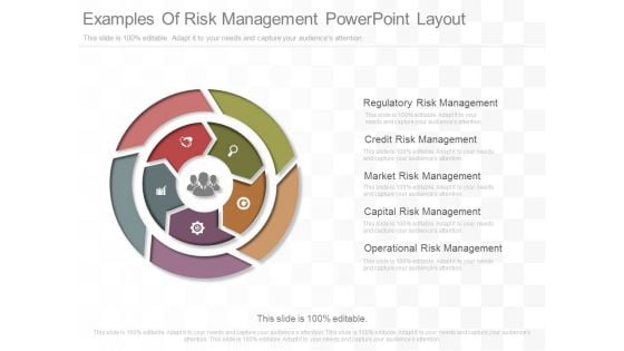 Examples Of Risk Management Powerpoint Layout