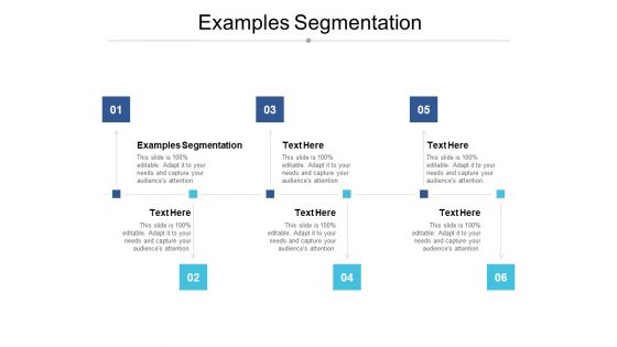 Examples Segmentation Ppt PowerPoint Presentation Summary Model Cpb