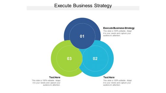 Execute Business Strategy Ppt PowerPoint Presentation Icon Guide Cpb